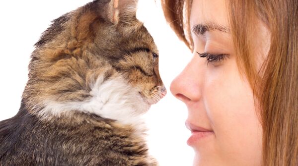 How Much Time Do Owners Spend with Their Cats?